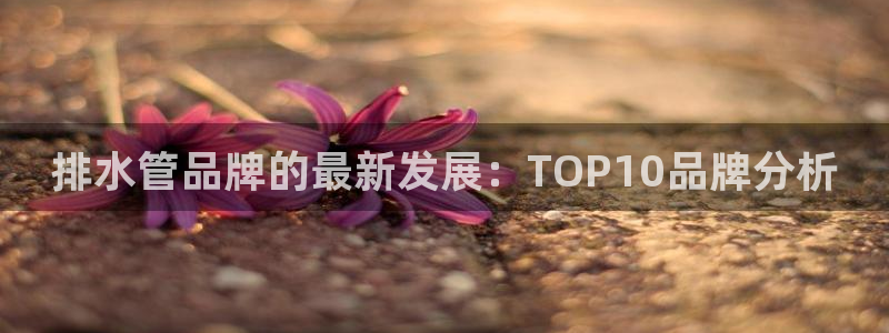 球盟会综合app下载