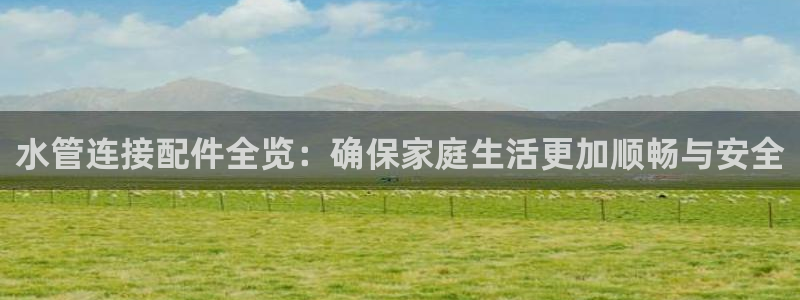 球盟会app最新地址下载