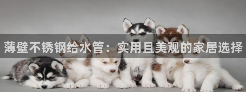 球盟会体育平台