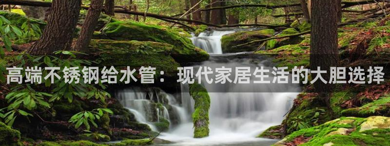 球盟会能提现吗