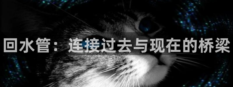 球盟会在线登录