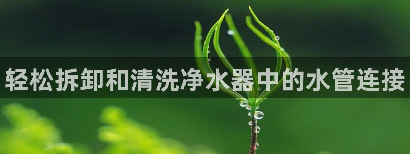 球盟会体育平台