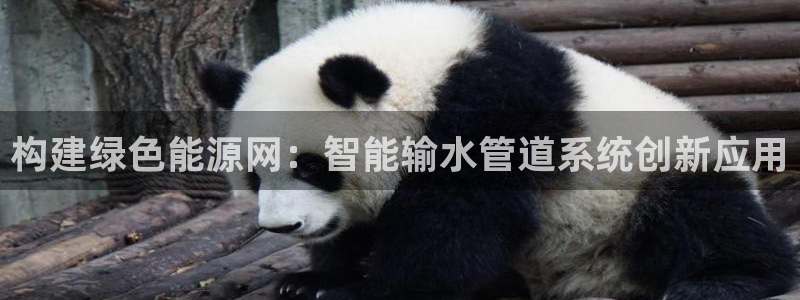 球盟会app手机登录