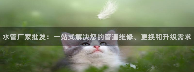 球盟会下款快吗