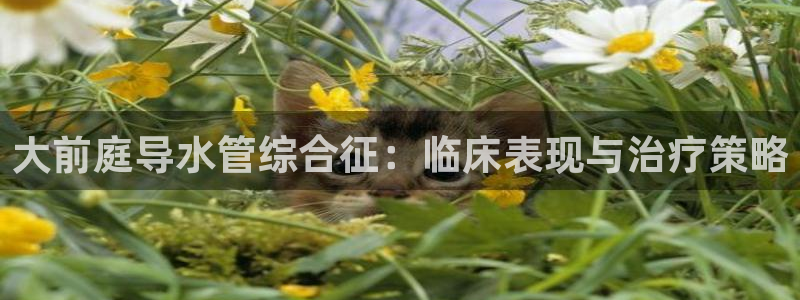 球盟会网址多少