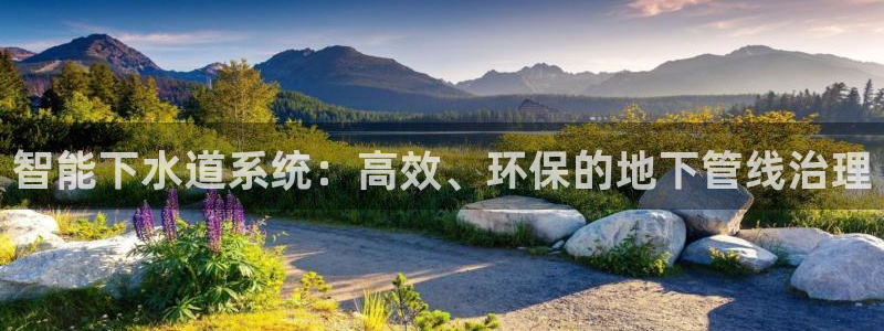 球盟会