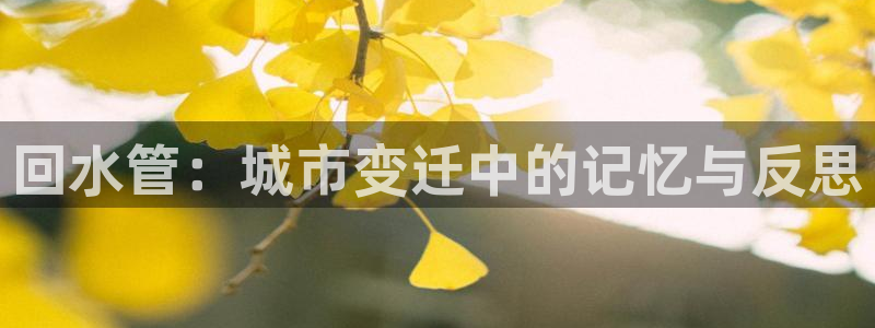 球盟会app最新地址下载安装