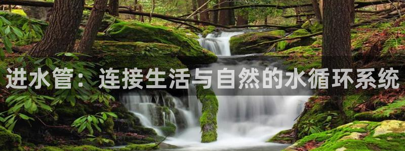 球盟会黑款吗知乎