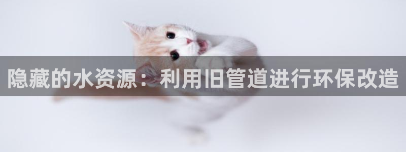 球盟会平台会黑单吗