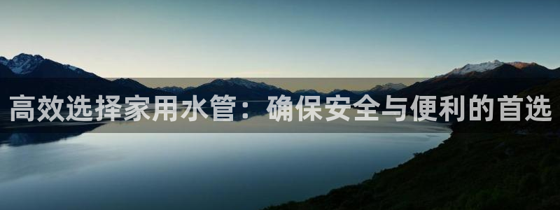 球盟会黑钱
