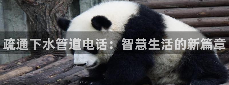 球盟会app网址多少
