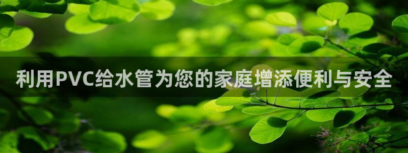 球盟会和中欧会的区别