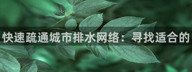 球盟会官方网页登录