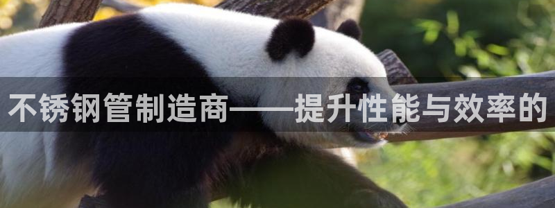 球盟会可靠不