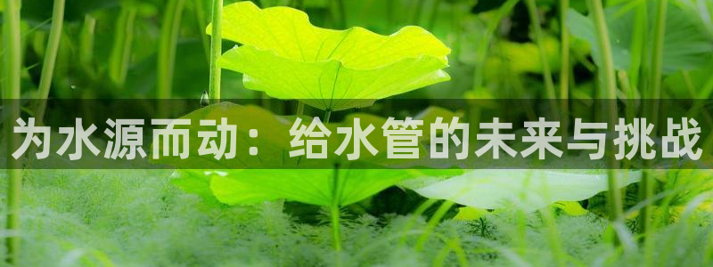 球盟会黑嘛