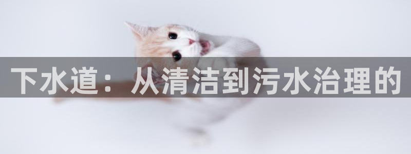 球盟会游戏几点玩合适