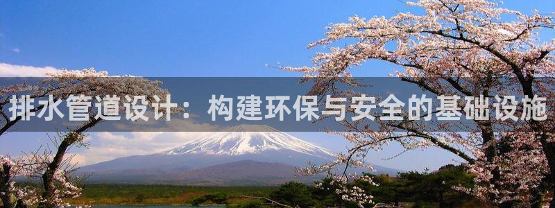 球盟会能提现吗是真的吗