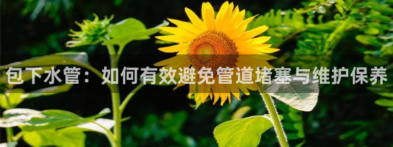 球盟会app最新地址在哪里