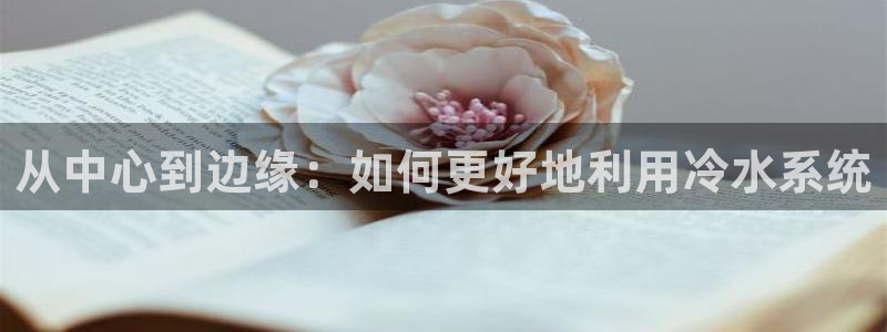 球盟会官方网站是什么