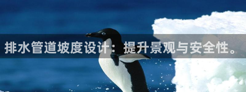 球盟会网页版登陆