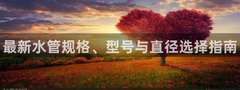 球盟会app最新地址在哪看