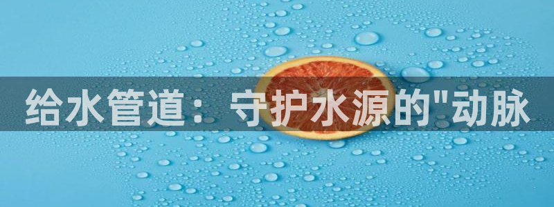 球盟会APP最新地址