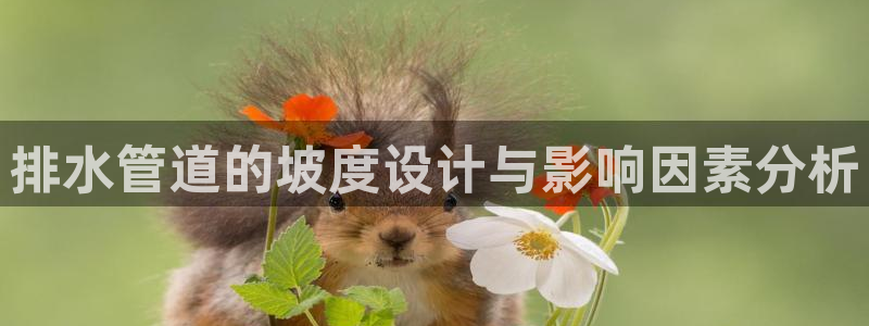 球盟会官方客服