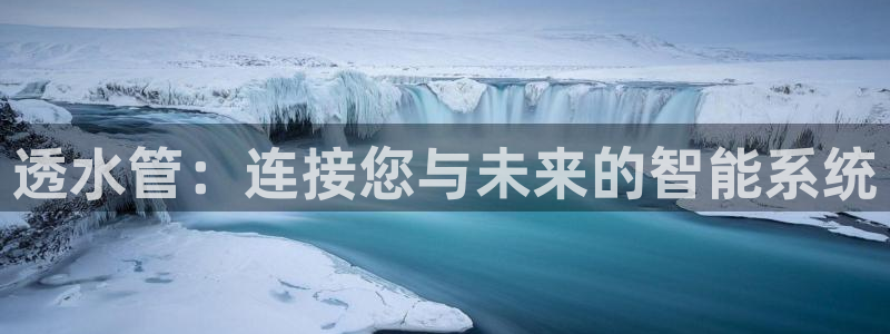 球盟会官方网站入口