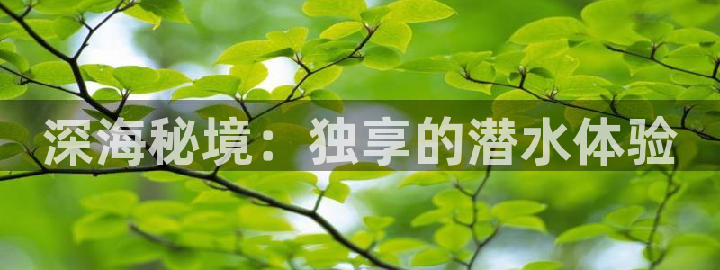 球盟会体育app官方网站