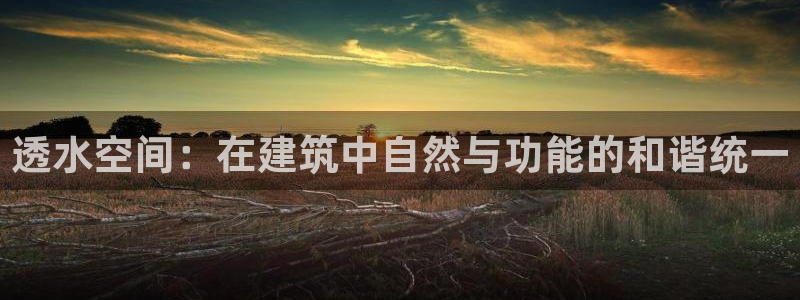 球盟会用的客服聊天是哪个软件