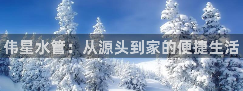 球盟会黑台子吗