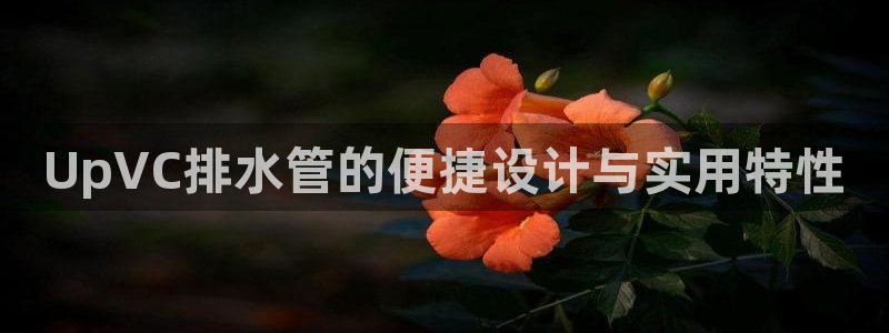 球盟会黑台子吗