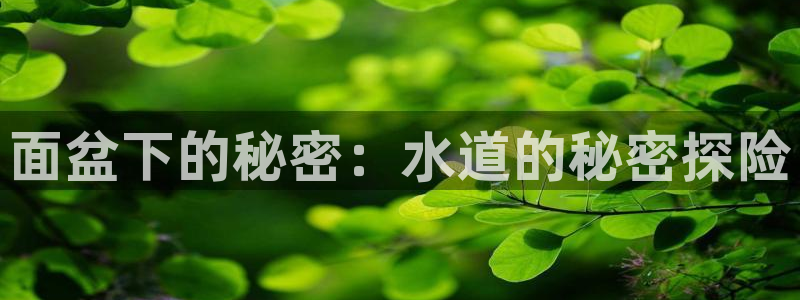 球盟会官网网页版