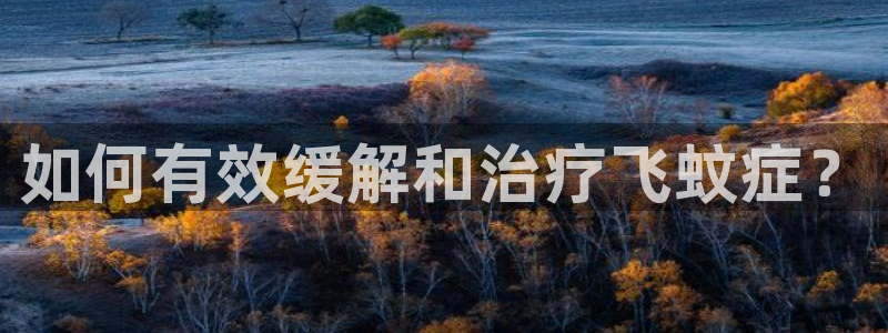 球盟会能提现吗