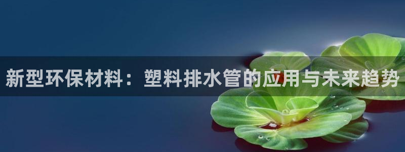 球盟会用的客服聊天是哪个软件