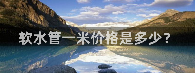 球盟会官方入口