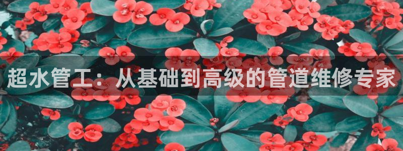 球盟会(中国)官方网站