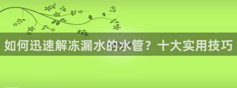 球盟会黑网