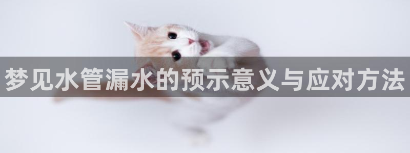 球盟会能退钱吗是真的吗