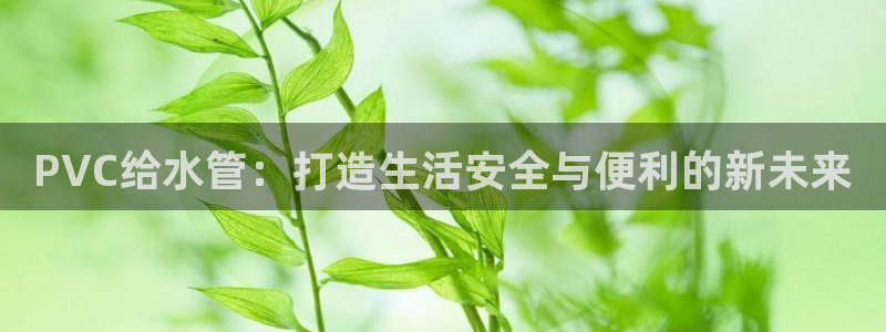 球盟会里面有打牌的嘛