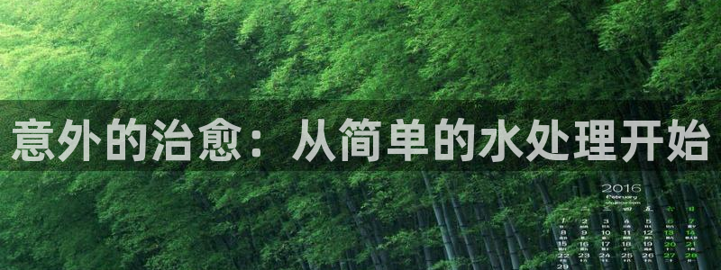 球盟会官方网页登录