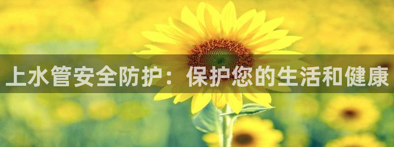 球盟会里面有打牌的嘛是真的吗