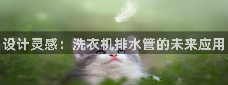 球盟会国际官网