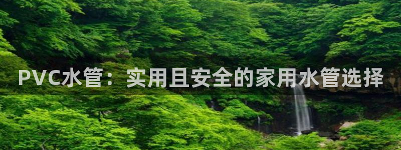 球盟会里面有打牌的嘛