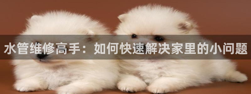 球盟会和中欧会的区别