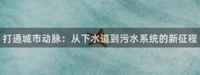 球盟会登录平台入口