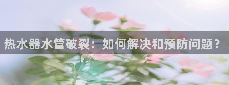 球盟会里面有打牌的嘛知乎