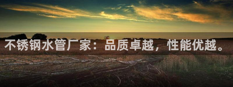 球盟会进不去球员吗