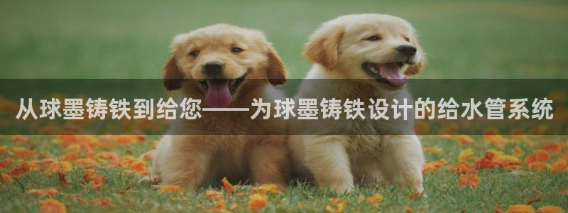 球盟会综合app下载