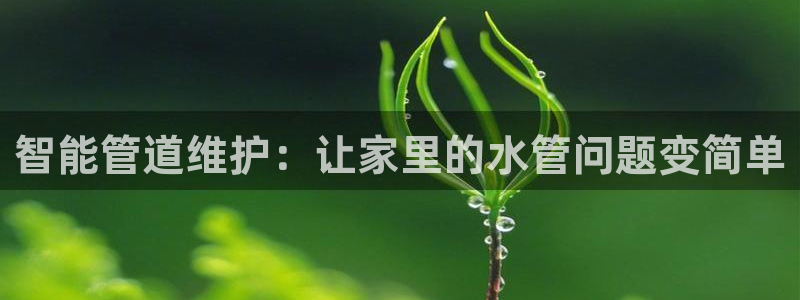 球盟会app最新地址下载